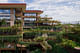  Optima Camelview Village in Scottsdale, Arizona, by David C. Hovey, FAIA. Image courtesy of the MCHAP.