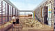 Rendering of the SURE House by Stevens Institute of Technology. Credit: U.S. Department of Energy Solar Decathlon.