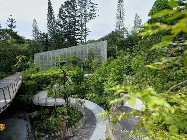 The Secret Ravine, National Orchid Garden, Singapore