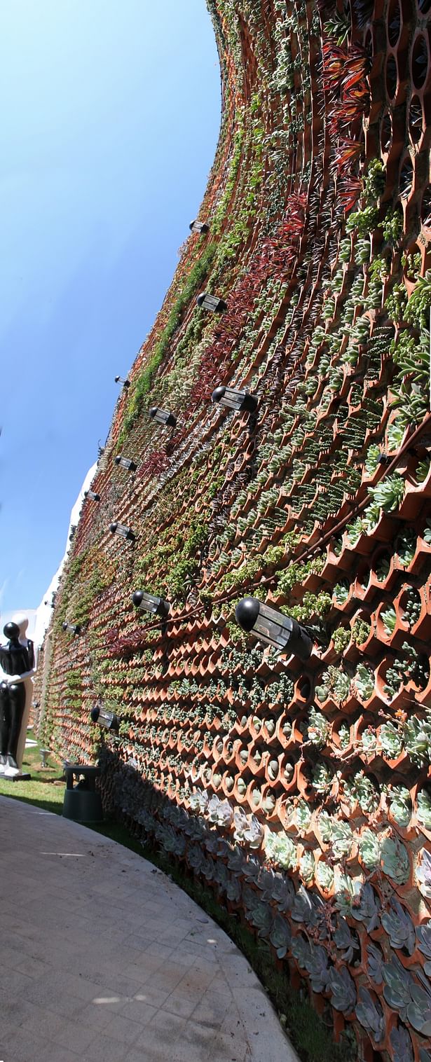 Vertical garden Ibiza.