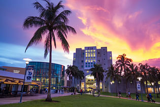 Florida International University launches DDes doctoral program