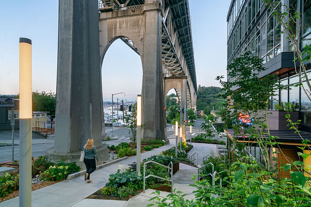 Phase 1 of the Aurora Bridge Bioswales / Photography by Built Work Photography / Meghan Montgomery