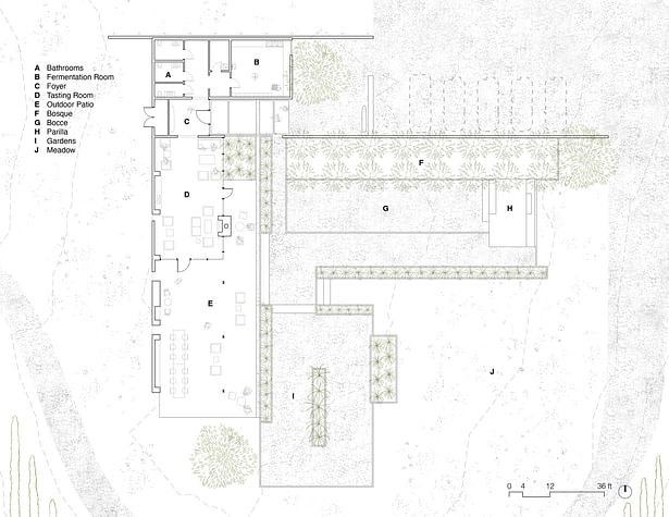 Everen Wines Tasing Room - Drawing (Image: Wittman Estes)