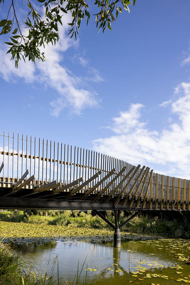 Bara Bridge, Sydney. Sam Crawford Architects Photographer Brett Boardman