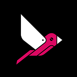 Pink Sparrow