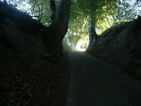 Recently I returned from exploring my home country, Denmark where I discovered this ancient roadway on Jutland's east coast; its a mere 6 meters across. 