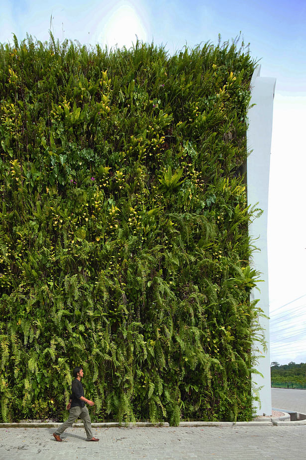 Green Wall