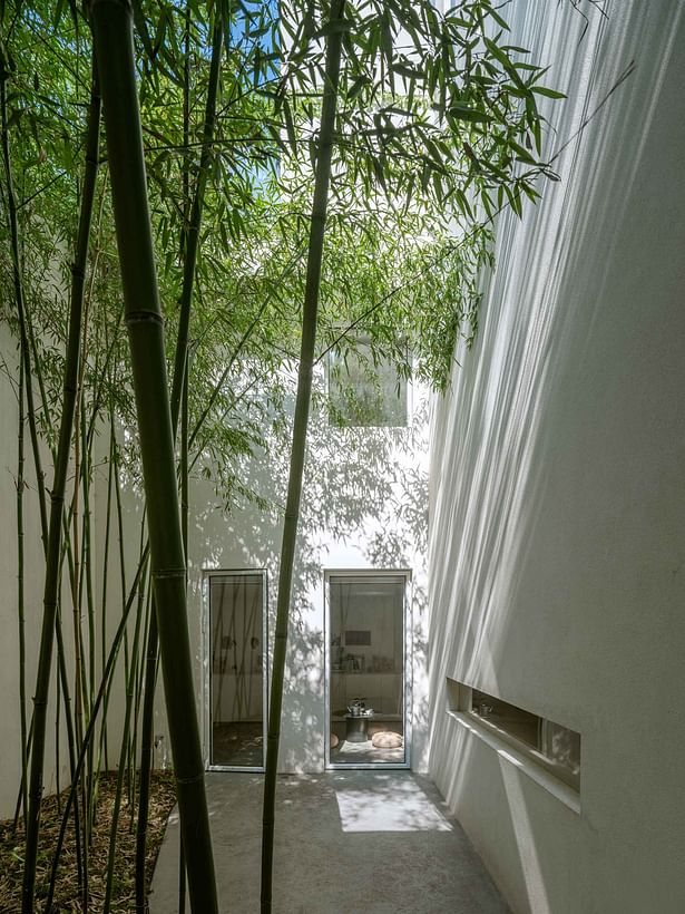 The bamboo forest connects the ground and the underground space ©Fangfang Tian