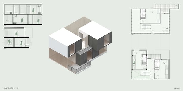 Family type 2 diagram