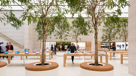 Apple Store, London, by Foster + Partners, Photo by Nigel Young