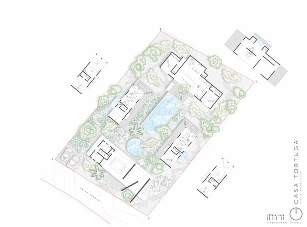 Architect's AutoCAD plans imported in Illustrator for presentation drawing embellishment 