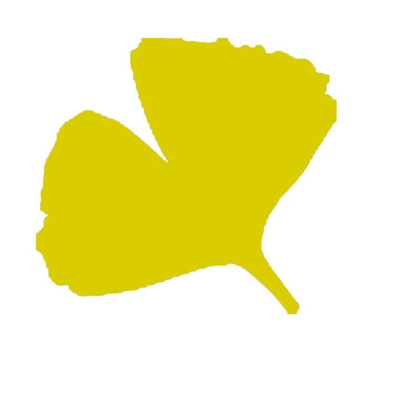 LOOSvanVLIET