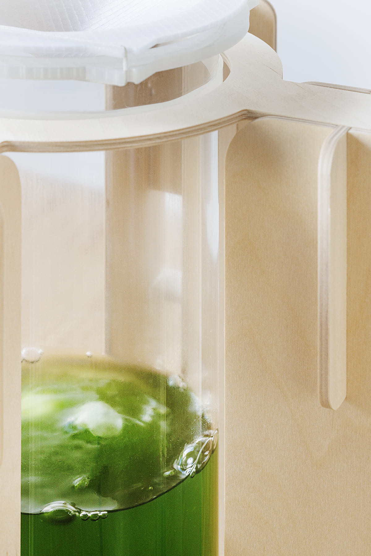 ecoLogicStudio’s collection of biophilic design products includes algae ...