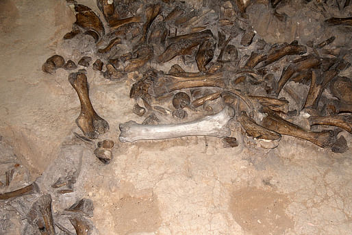 Mammoth bones exhibited at the State Archaeological Museum in Kostyonki, Russia. Photo: Wikimedia Commons user Evatutin.