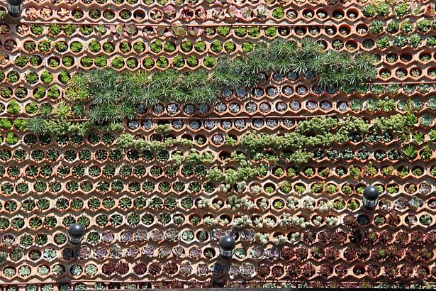 Vertical garden Ibiza.