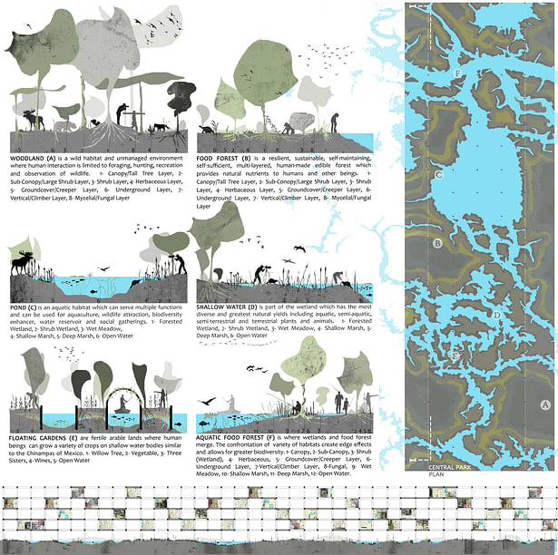 Ecosystem Sections