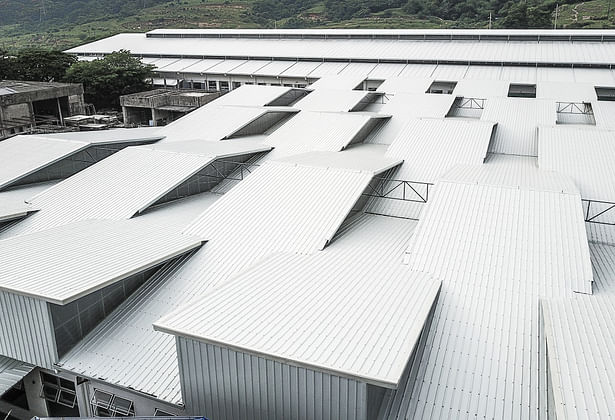 Exterior view of the roof and the rhombus- shaped skylights. 