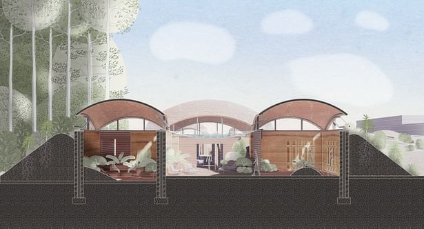 Section through common rooms in the Refectory The combined influence of the interior landscapes, rammed earth walls, mounds, and the vaults would, coupled with the concatenation of interior and exterior spaces, create a dynamic environment that produces atmospherically diverse effects—the complete opposite of the alienating, hermetically sealed facility which is the norm in large scale cannabis 