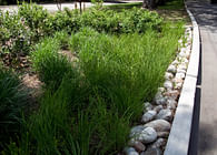 Asst Landscape Architect NYCDPR