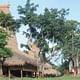 Sumba Island, Indonesia: The sacred houses of the Sumbanese people will be lost without community-led training in the traditional knowledge necessary to maintain these structures and their layers of symbolic meaning. Pictured: Sacred houses of the Praingu Matualang Village. Image courtesy WMF.