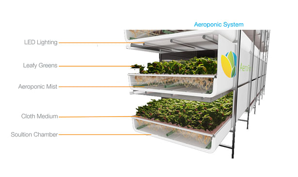 Aeroponic System Detail