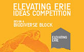 Elevating Erie: An Ideas Competition for the Biodiverse Boulevard