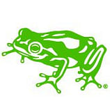 frog design