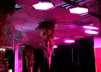 Getting down with the LED grow lights to be used in NYC's Lowline