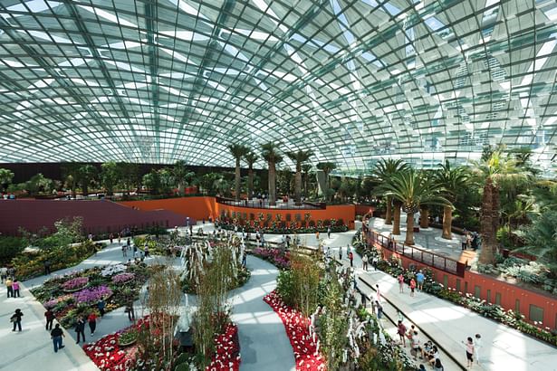 Cooled Conservatories, Gardens by the Bay - Interior view across the biome