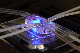 Human organ-mimicking microchip wins Designs of the Year Award 2015