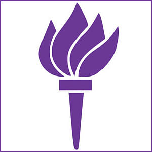 NYU is hiring an Assistant Vice President (AVP) for Sustainability Planning