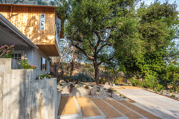 A view of the entry illustrating the proximity of the cantilevered bedroom to the oak tree and the new landscaping and entry sequence below.