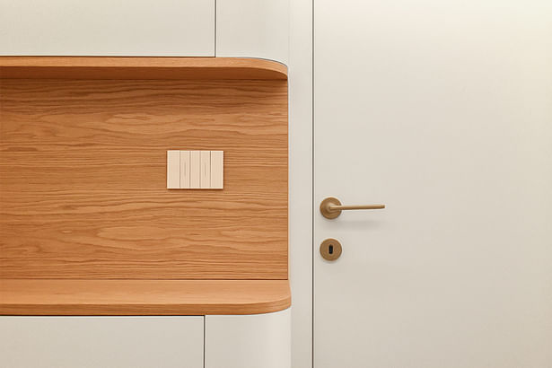 detail of flush door and bespoke curved furniture, detail of entrance