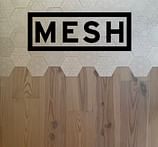 MESH Architectures