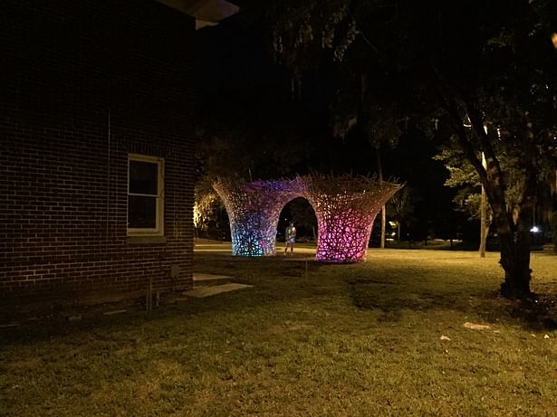 At night, LED lighting attracts visitors from across campus.