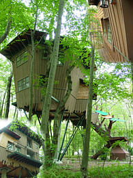 Treehouse Cottage