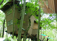 Treehouse Cottage