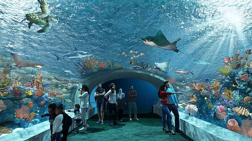 Image: © Shedd Aquarium in collaboration with Thinc/Valerio Dewalt Train