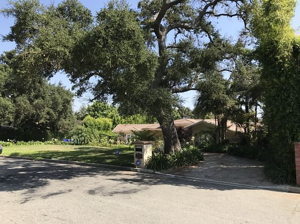 Oak tree preserved. (Taken 8-17-2017)