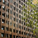 Shigeru Ban's Aspen Art Museum (exterior) - Photos © Michael Moran:OTTO