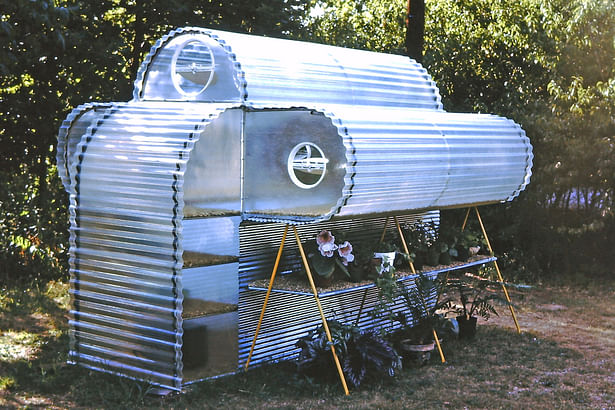 Small backyard greenhouse 1973.