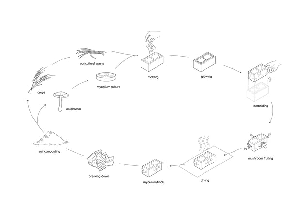 Mushroom Brick Lifecycle © Studio Link-Arc