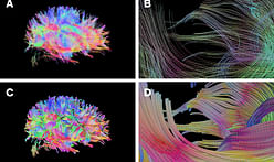 MIT Media Lab's new method of 3D printing allows for advanced complexity