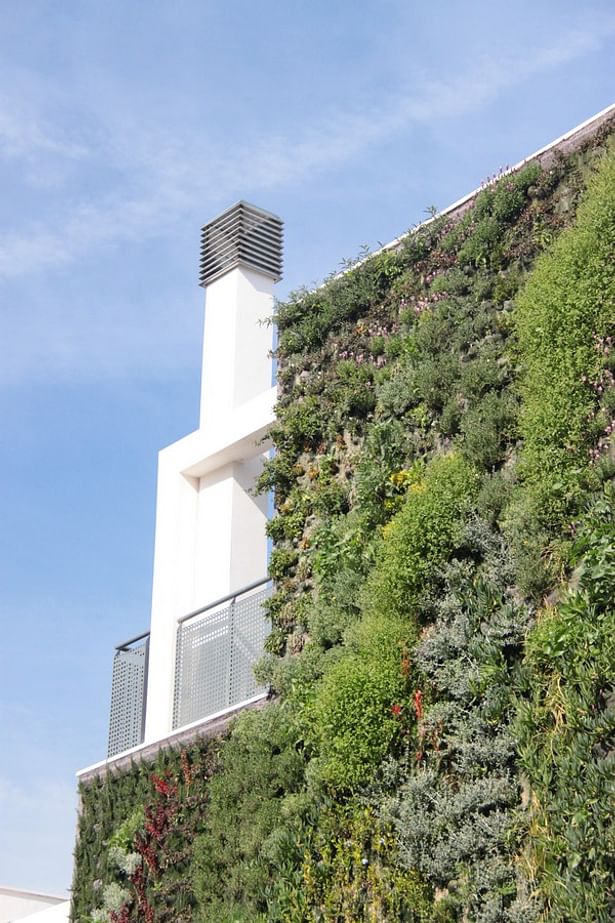 Vertical garden. Paterna.