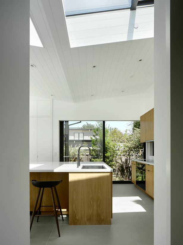 Kitchen, View of Back Fence - Adam Rouse Photography