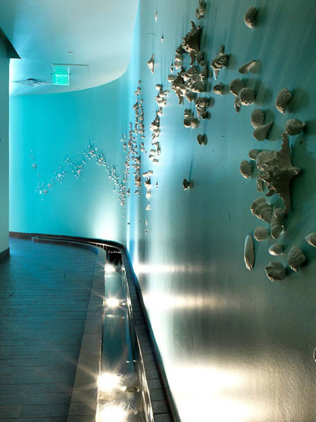 Spa Entry Hall - Uplit water pond shimmers off seashells cascading light and shadow across the surface.
