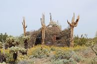 The Nest - Shelter for the Sonoran Desert