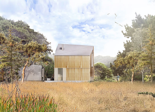 Black Point Beach House - Render (Faulkner Architects) 