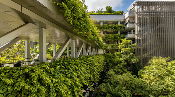 Verdant greenery from the rooftop to the basement makes Khoo Teck Puat Hospital a hospital-in-a-garden. (Image Credit: CPG Consultants) 