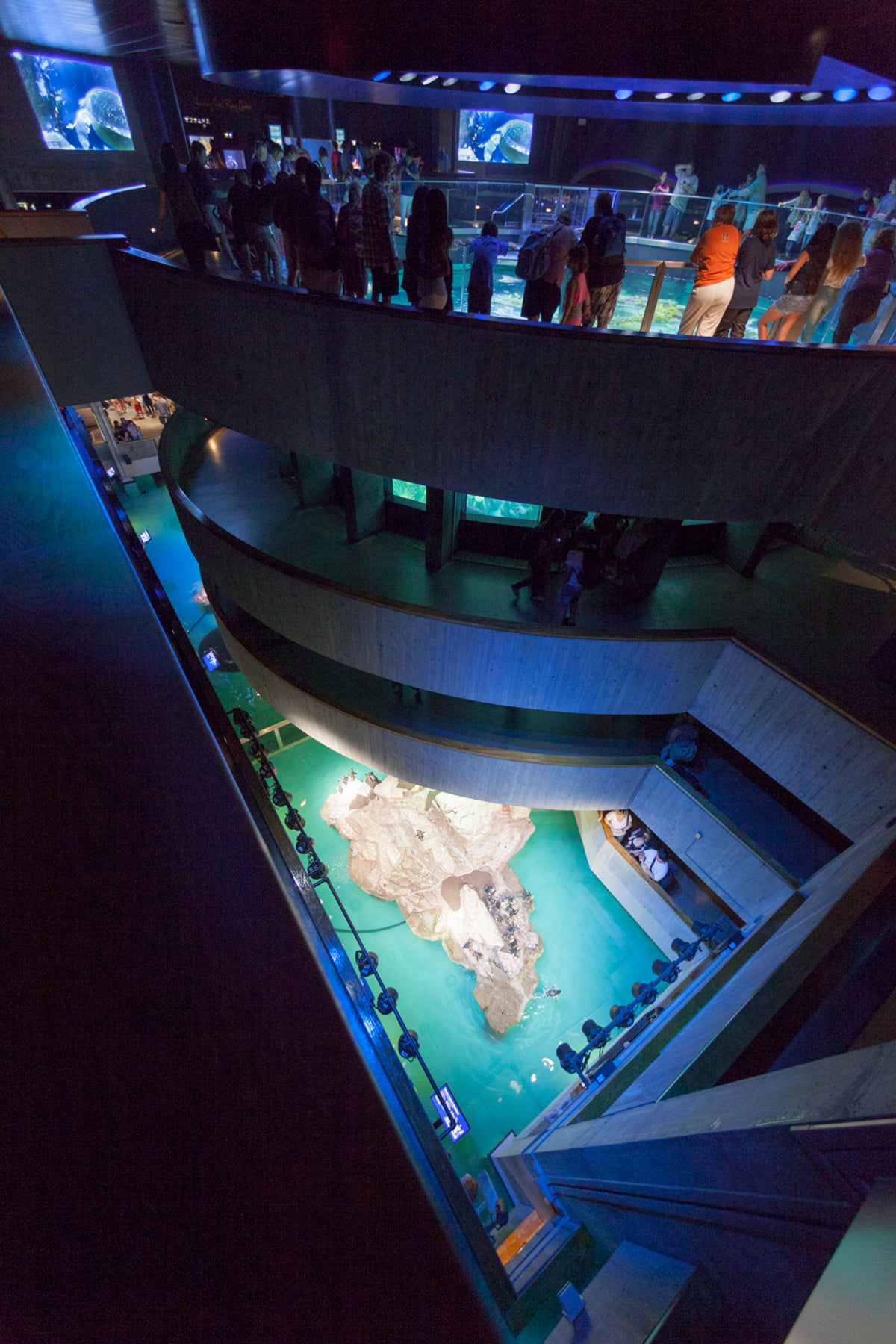 New England Aquarium - Giant Ocean Tank | CambridgeSeven | Archinect